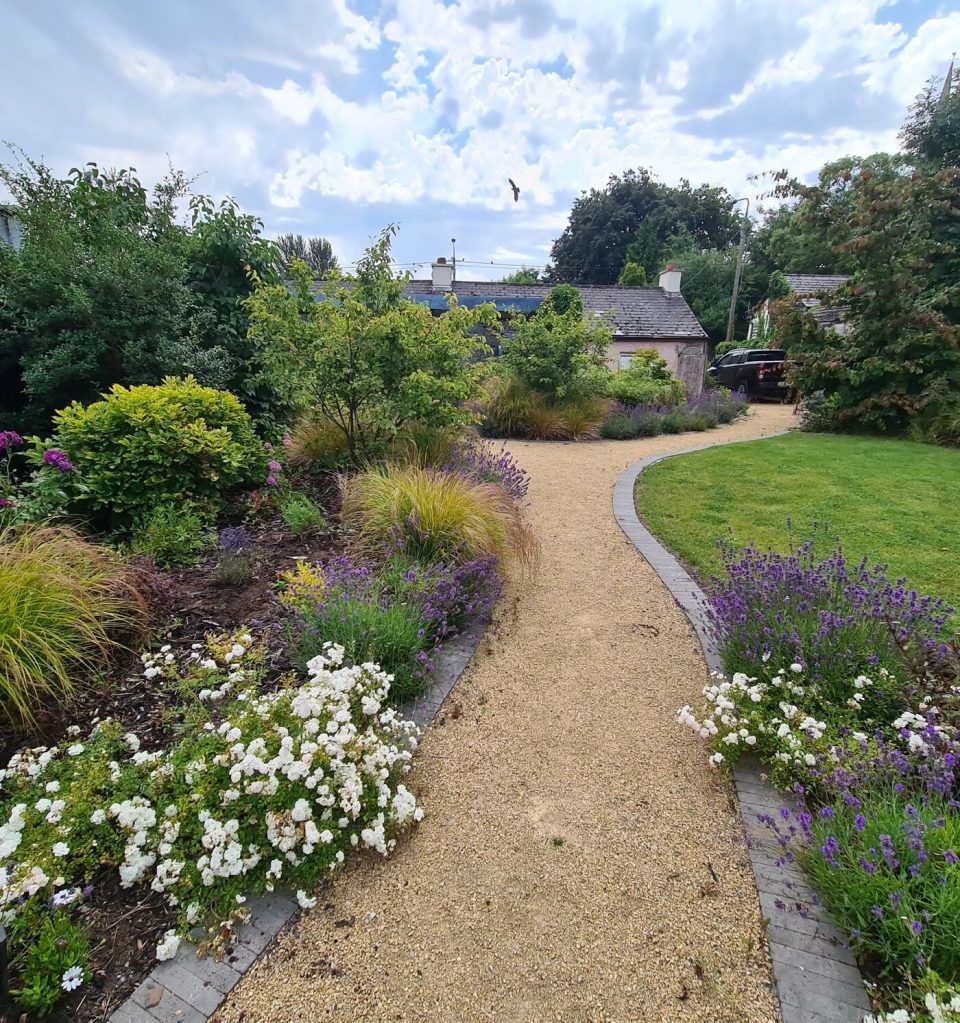 Curving gravel path through established garden planting