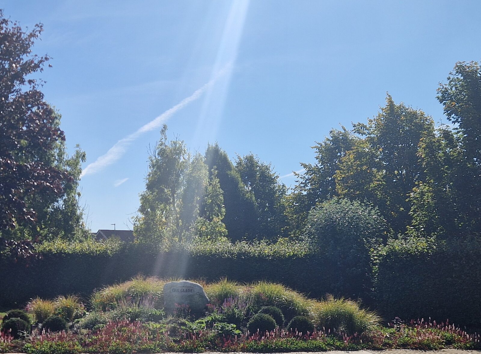 Mature garden planting designed for texture, structure and seasonal interest